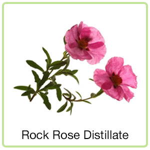 rock rose distillate