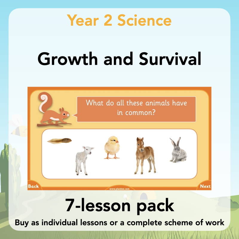 Year 2 Curriculum - Growth and Survival