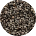A close-up of small black seeds on a circular surface.