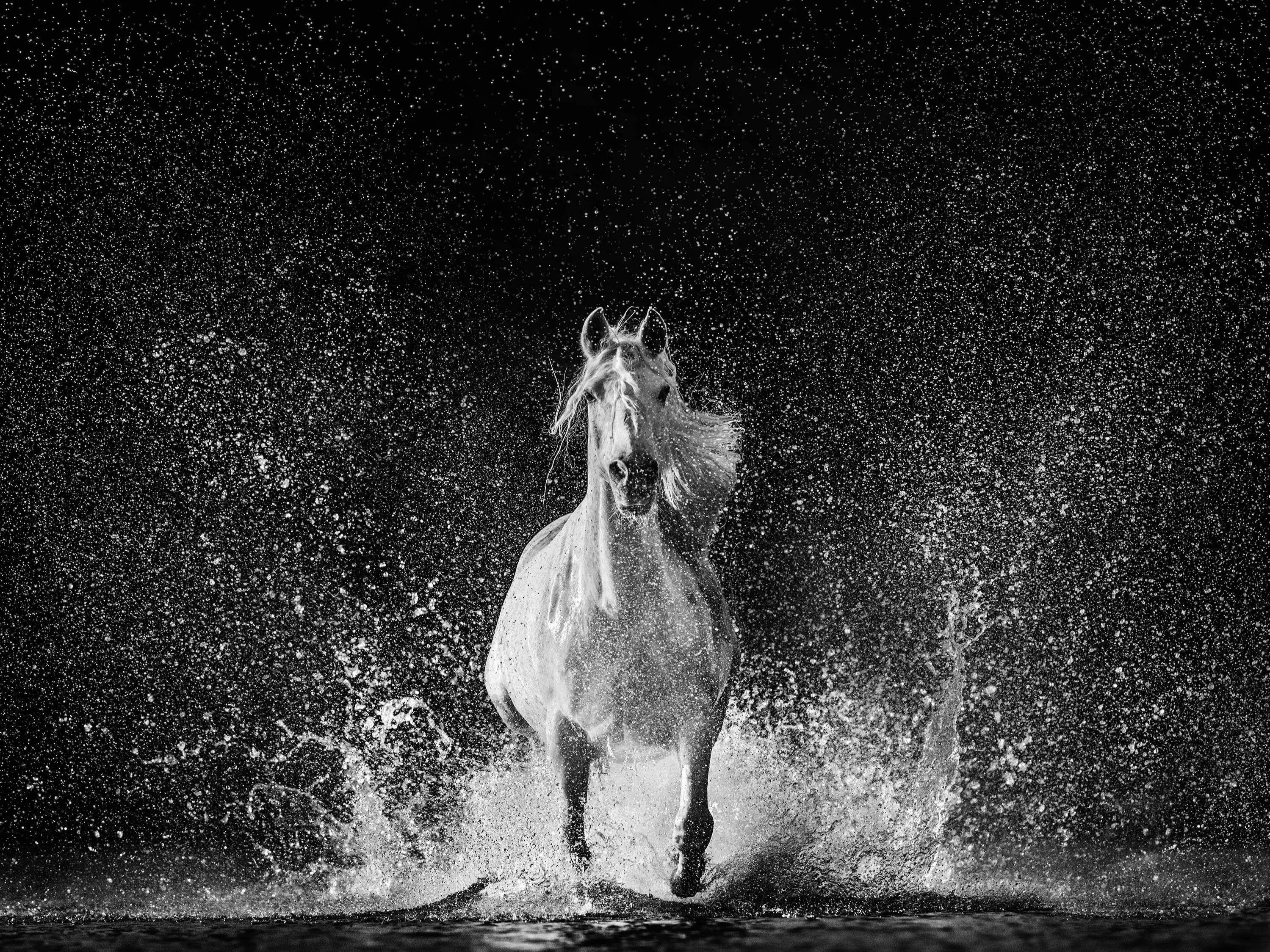 David Yarrow Santa Fe Art Gallery