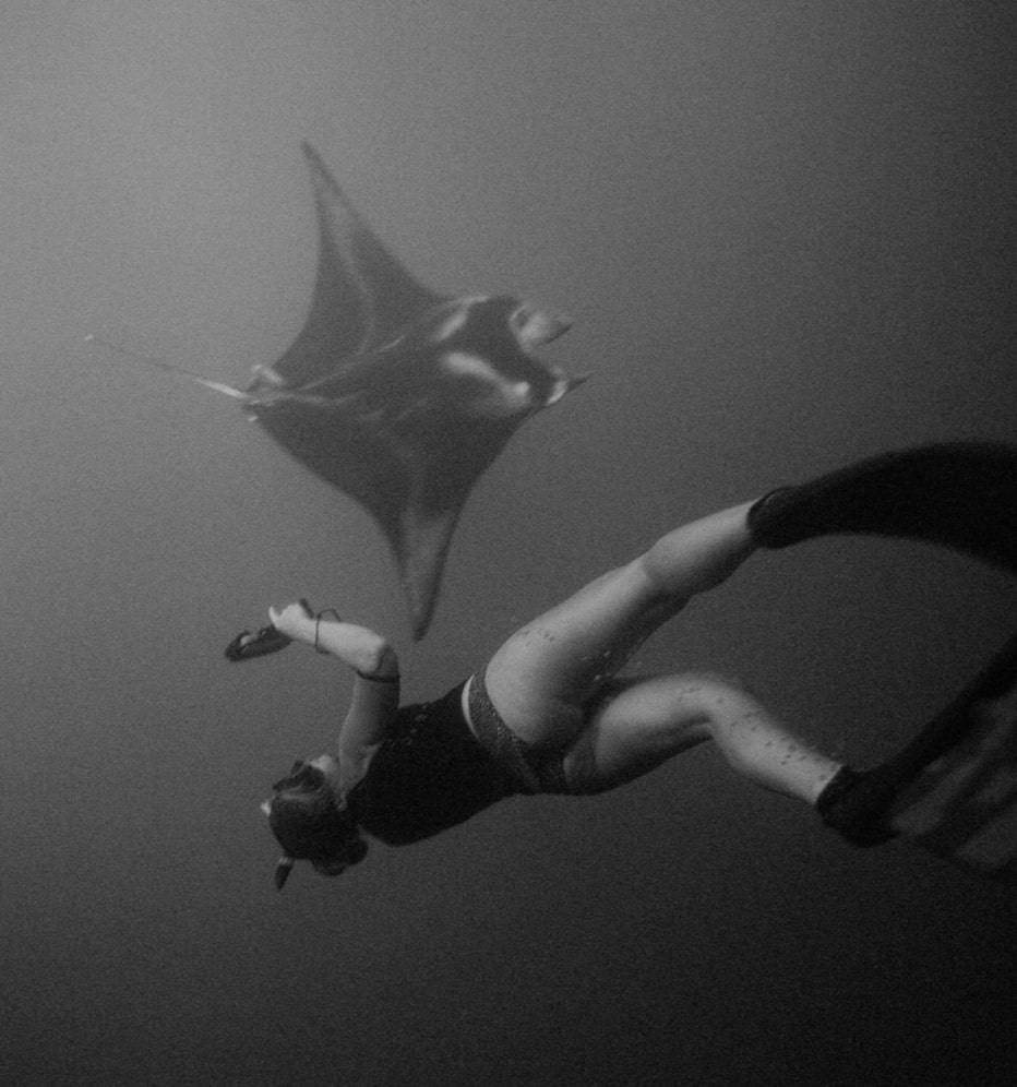 Skye diving with stingray