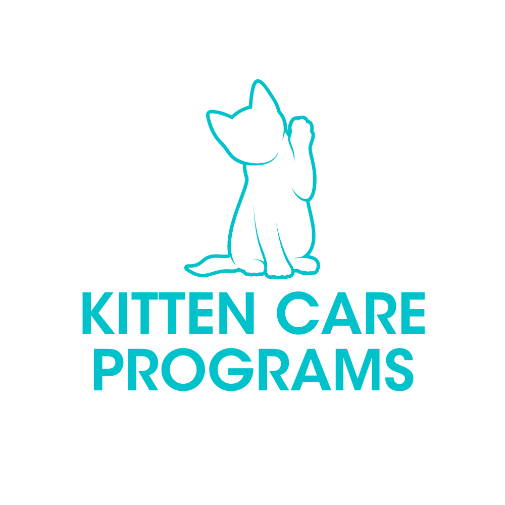 Kitten Care programs graphic
