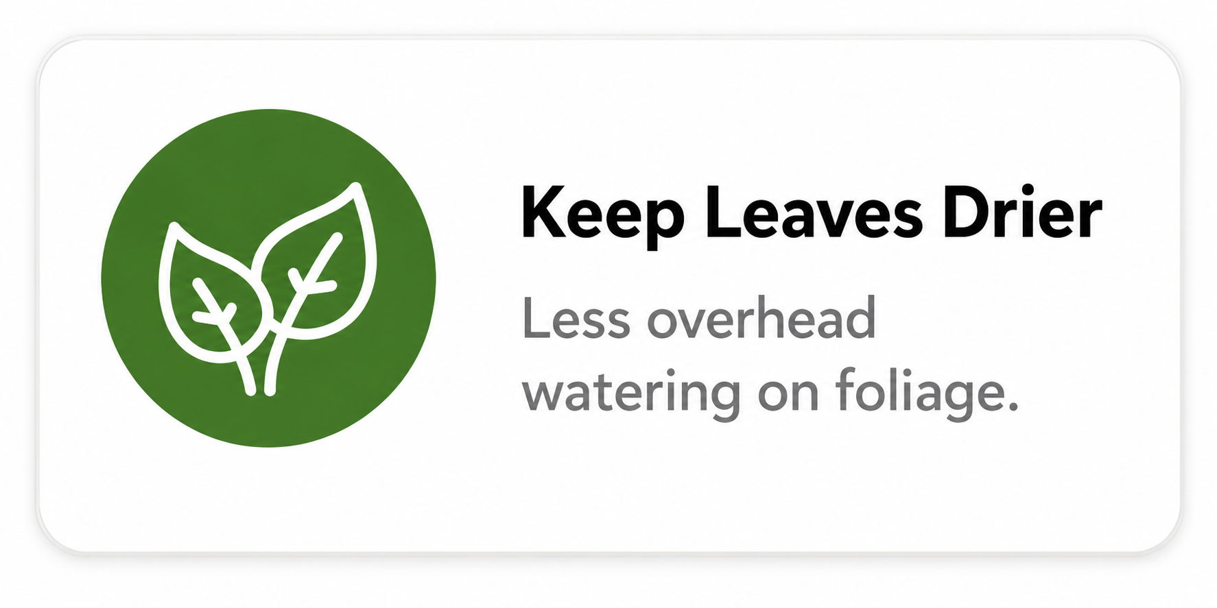 Keep Leaves Drier: Less overhead watering on foliage.