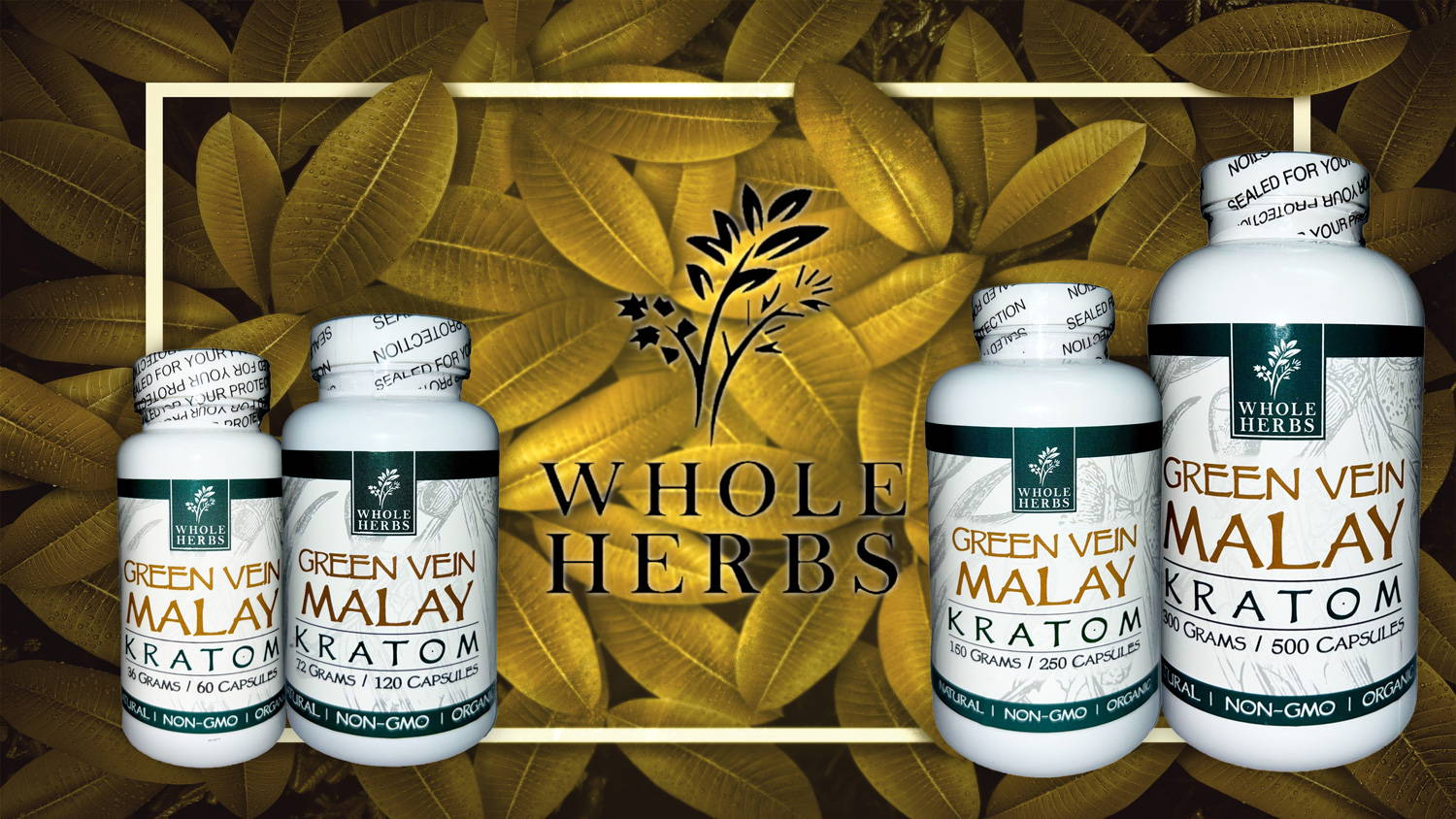 Whole Herbs Green Vein Malay Capsules Various Sizes Banner