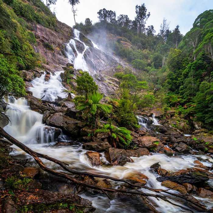 St Columba Falls – Pyengana, Tasmania