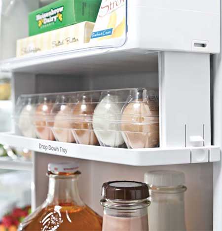 Refrigerator with Drop Down Tray