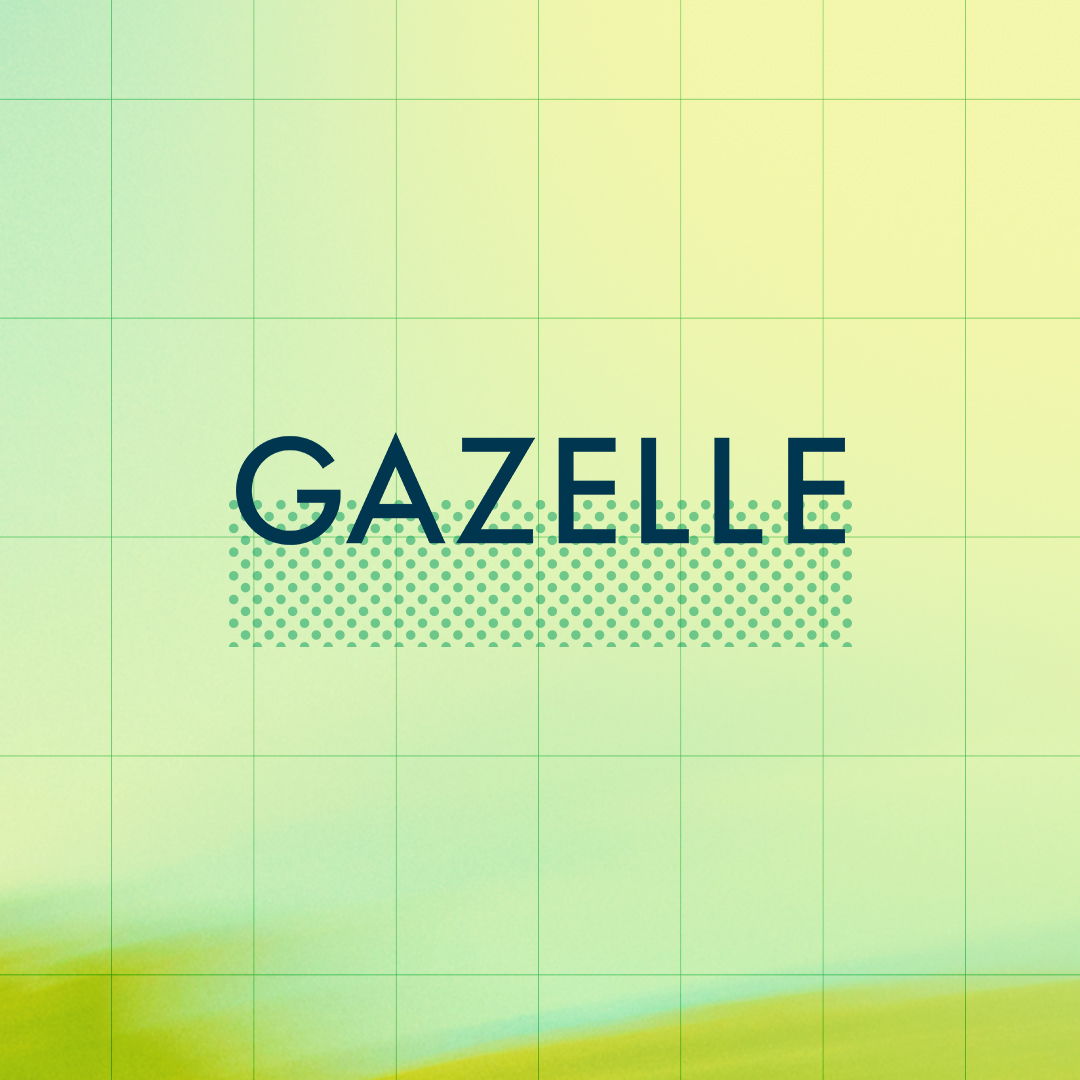 Mega Sale - Gazelle Electric Bikes on Sale