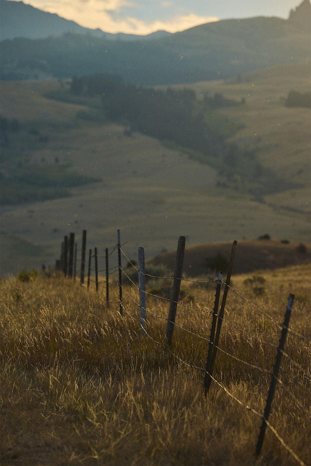 Rivay Montana Shoot a dissapearing barbed fence line with mountains in the background