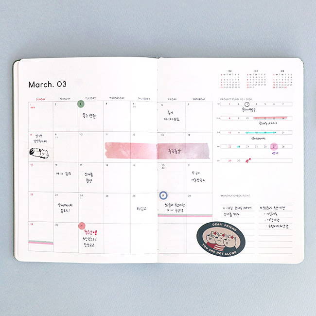 Monthly plan - ICONIC 2020 Brilliant dated daily planner scheduler