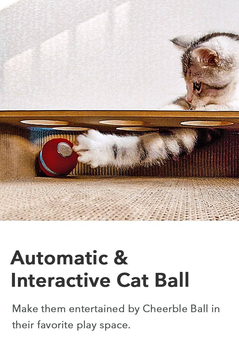 Automatic & Interactive Cat Ball