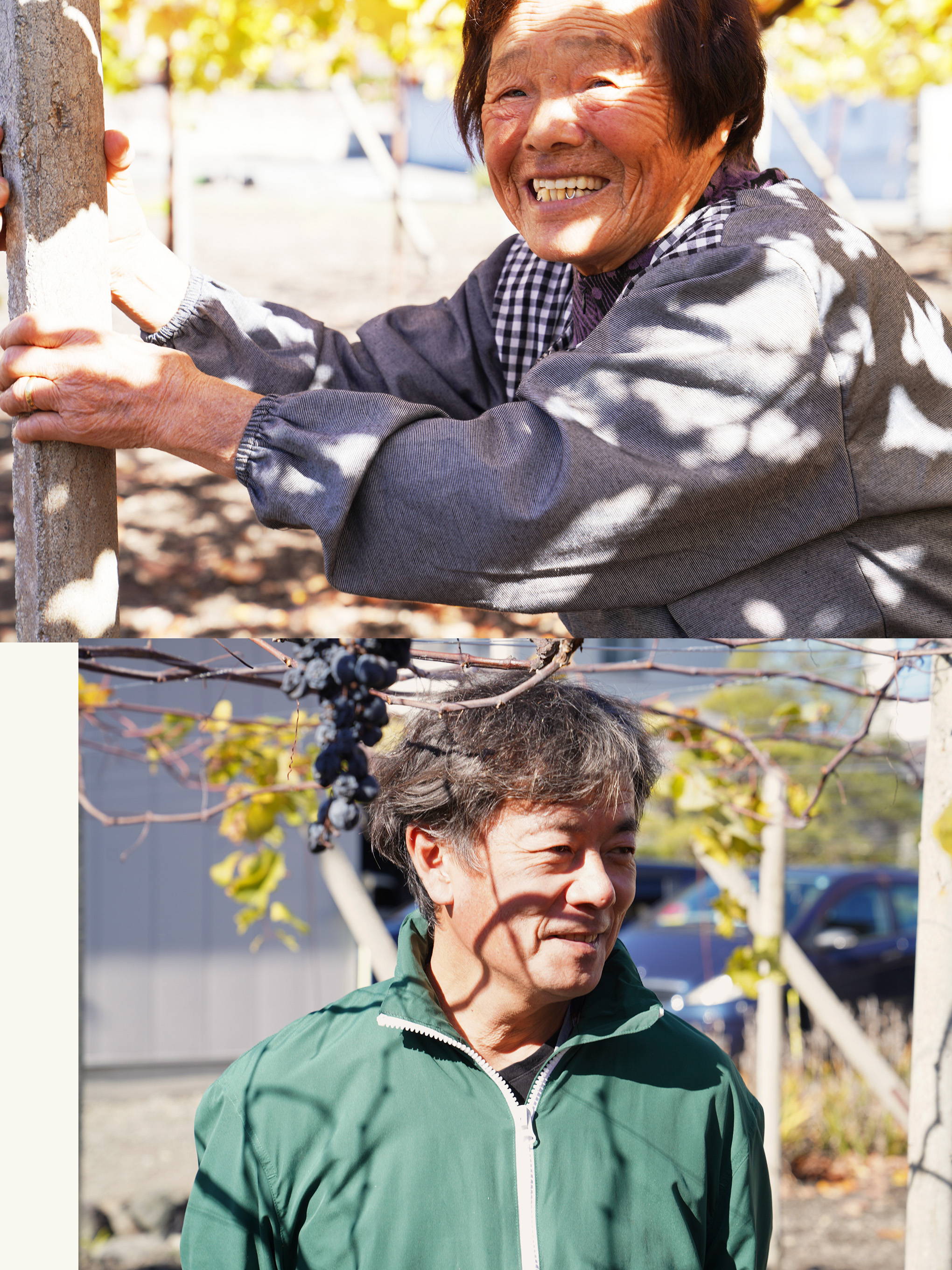 現88歳のブドウ農家・淡路ひとみさんと、渋谷さんの出会い。ここから全てが始まった。