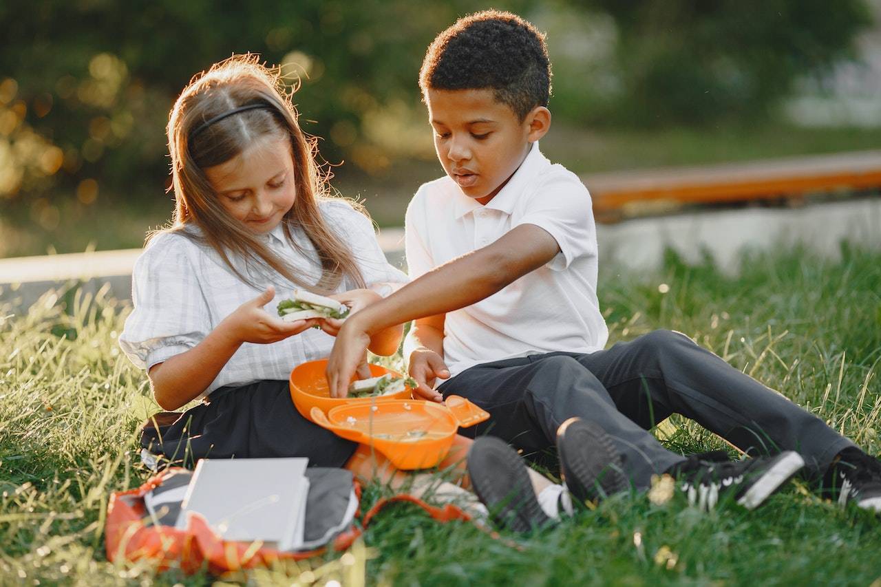 packed lunch ideas for kids