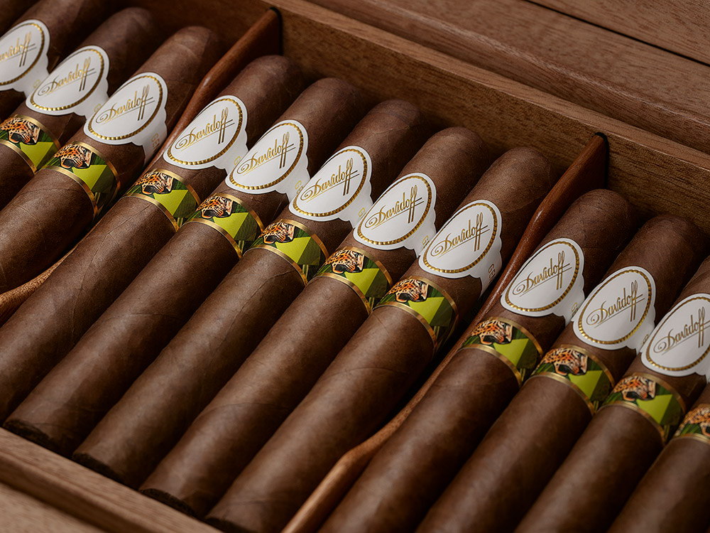 Close-up of the exclusive toro cigars inside the Davidoff & Boyarde Masterpiece Humidor Instinctively.