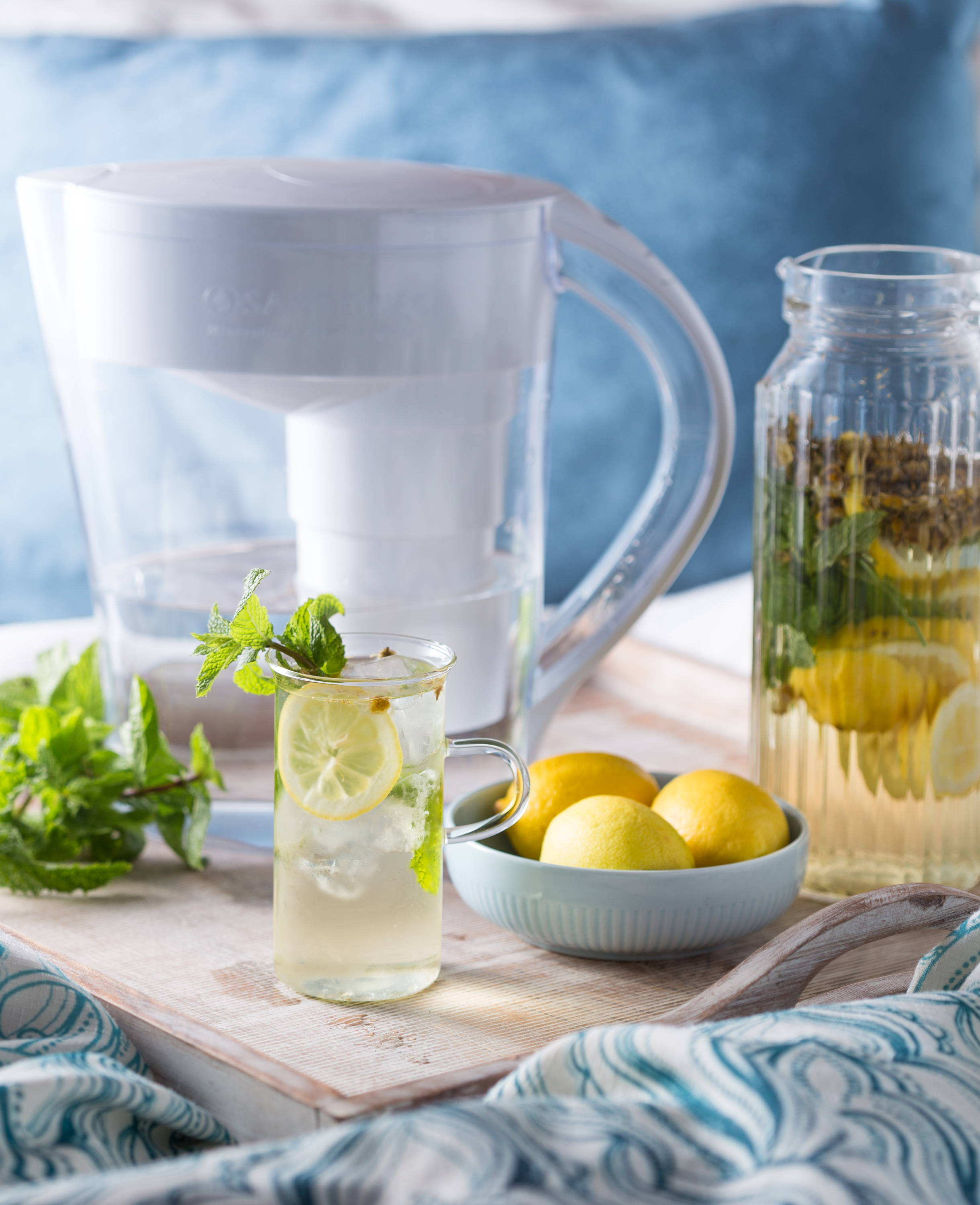 A Santevia MINA Alkaline Pitcher with a pitcher of a recipe of  lemon and mint infused ice water