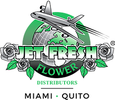 Jetfresh Flowers