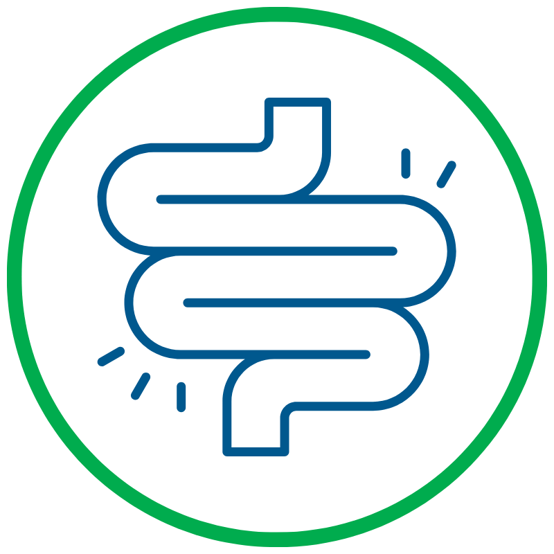 Illustration of a stylized human intestine with movement lines.