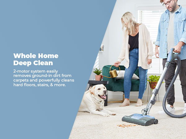 A couple cleaning a carpet with a vacuum while a dog watches.