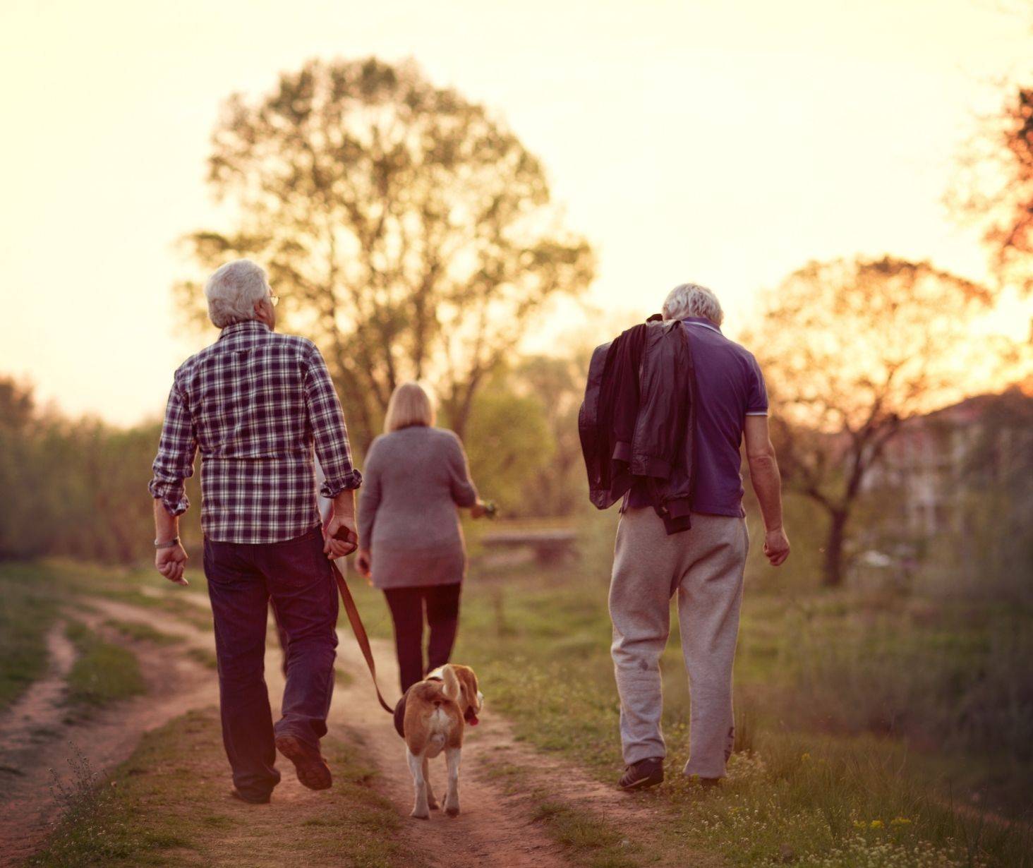 benefits of having a dog - socialization