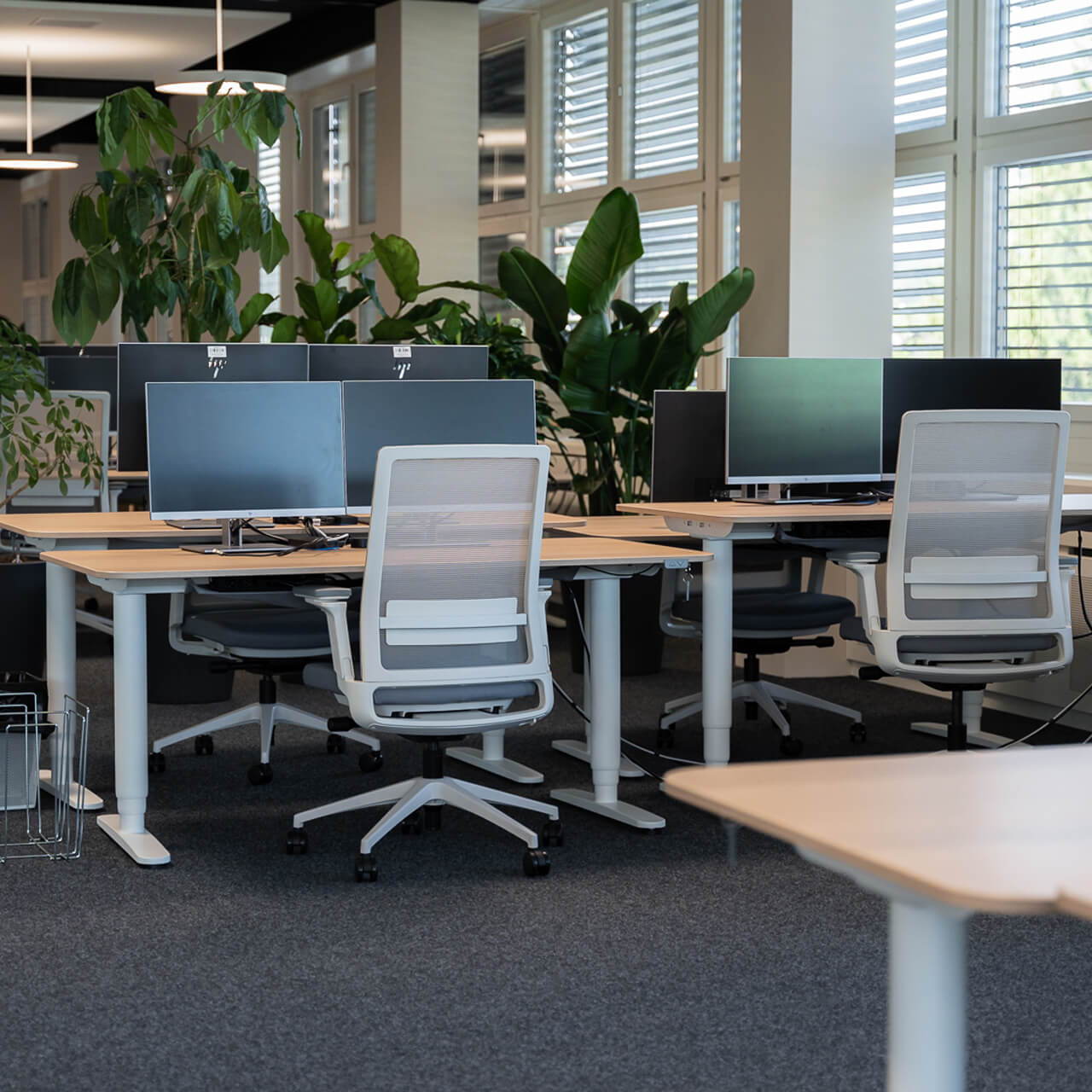 Dual workstations with ofinto office chairs and height-adjustable desks in the Enersuisse office