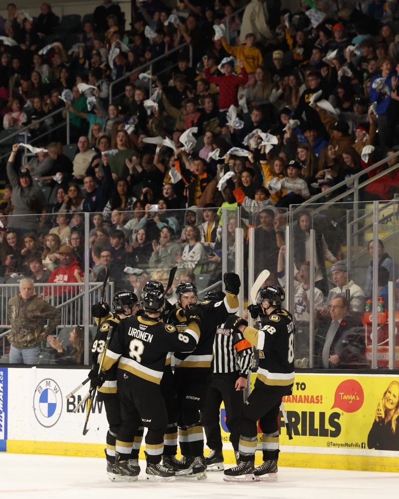 Hockey team celebrating with fans in the background holding white towels.
