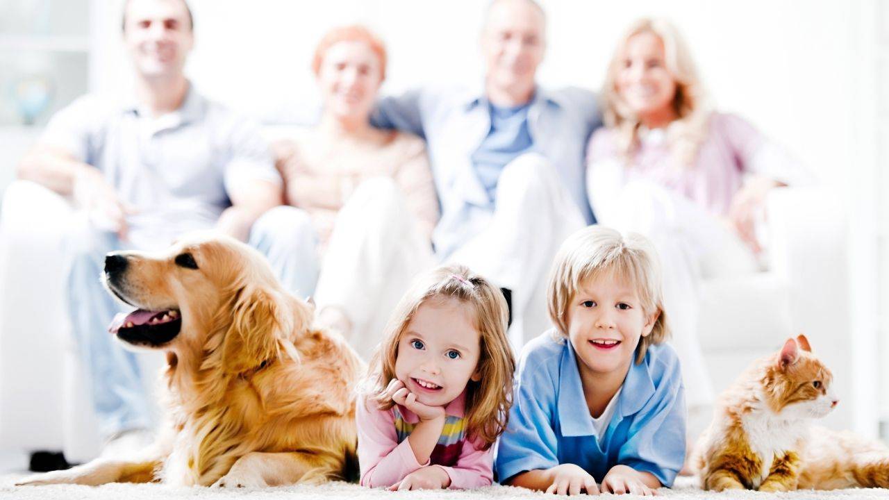 family and pets