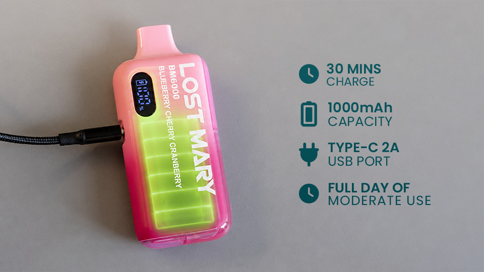 Charging specifications for the Lost Mary BM6000 charging via USB-C