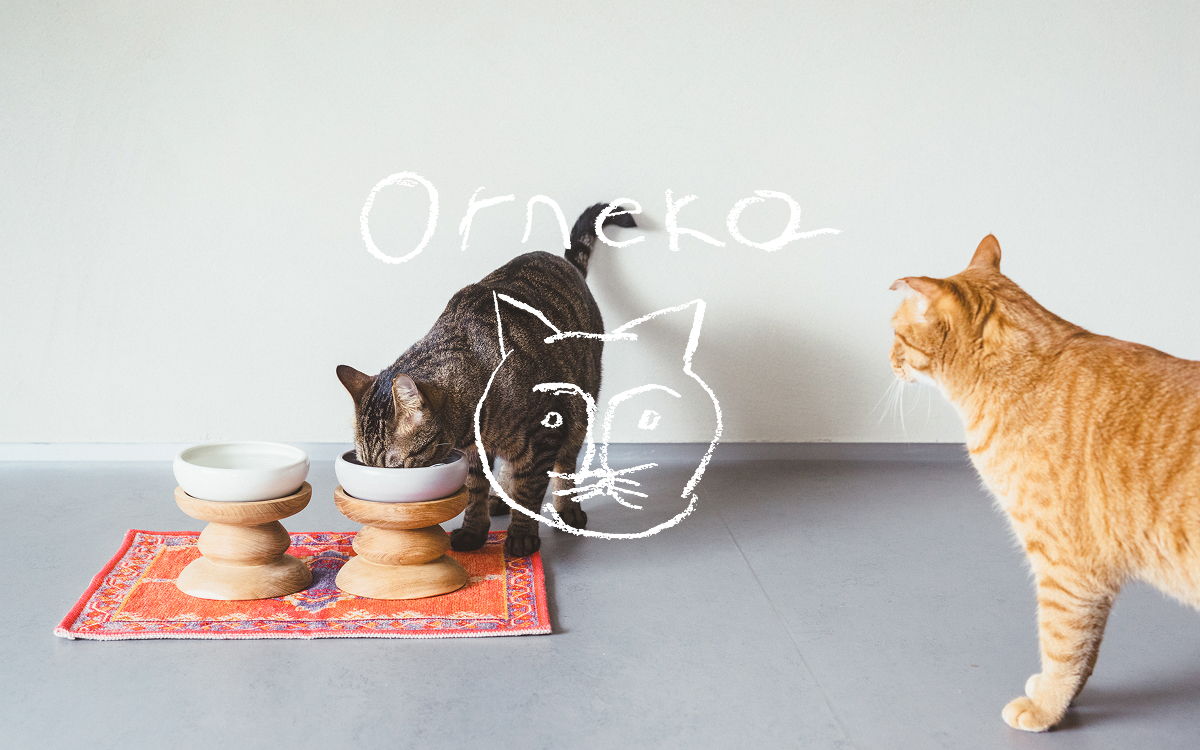 Two cats near food bowls on a mat.