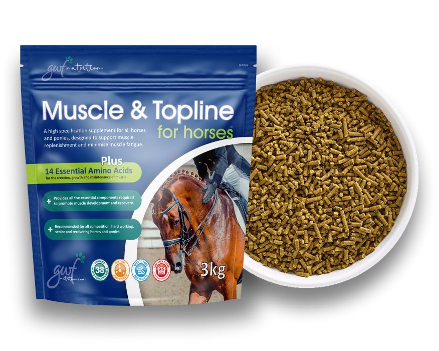 Muscle & Topline for Horses 3kg Pouch
