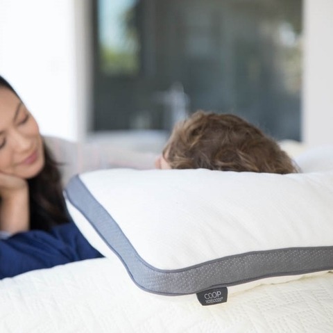 Coop Home Goods Waterproof Pillow Protector