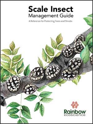 Scale Insect Management Guide