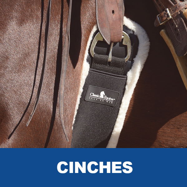 Close-up of a saddle cinch with text 