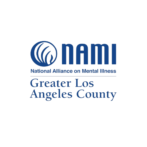 NAMI Organization