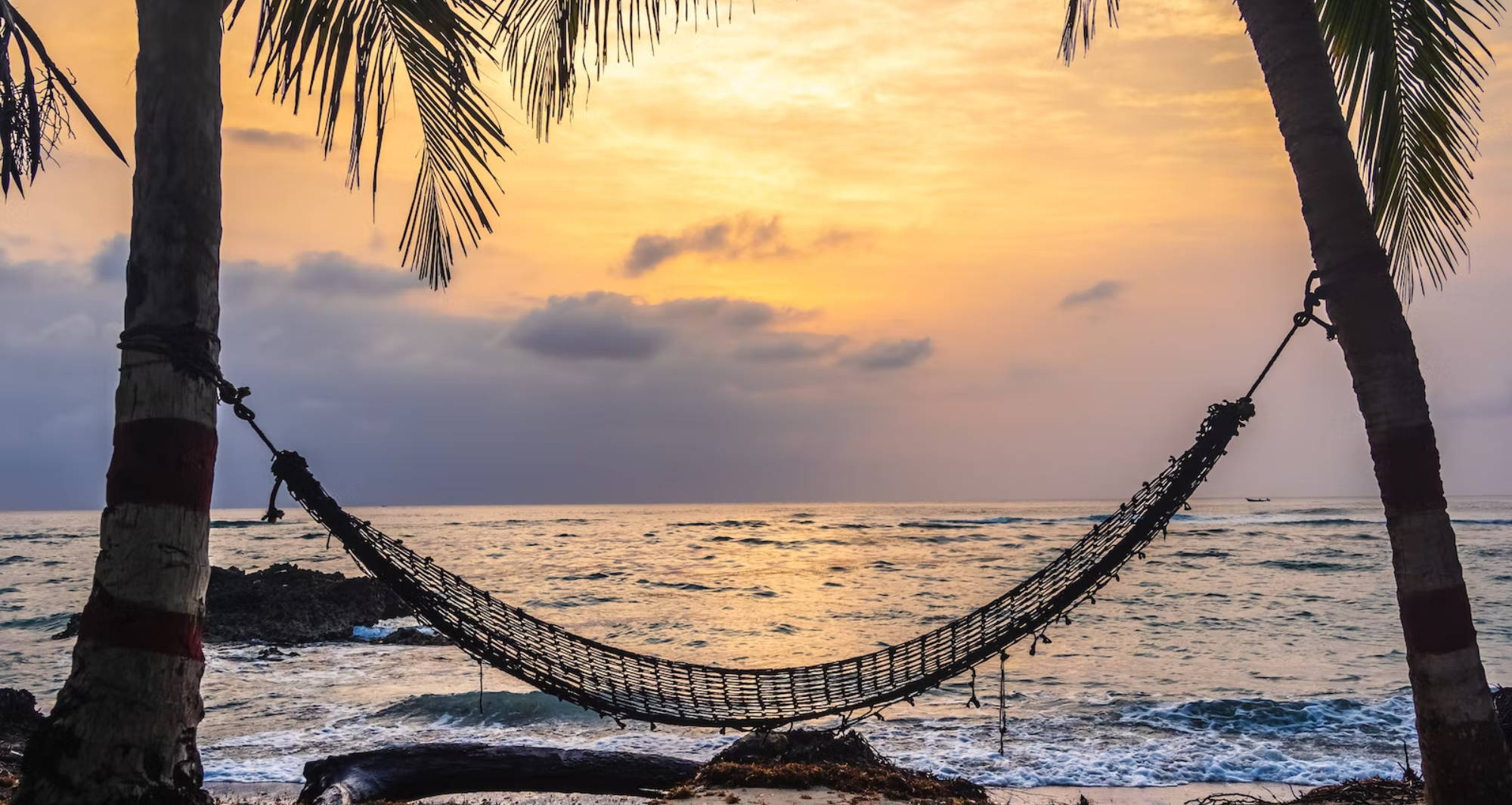  a hammock strung up between two palm trees in front of the ocean and sunset