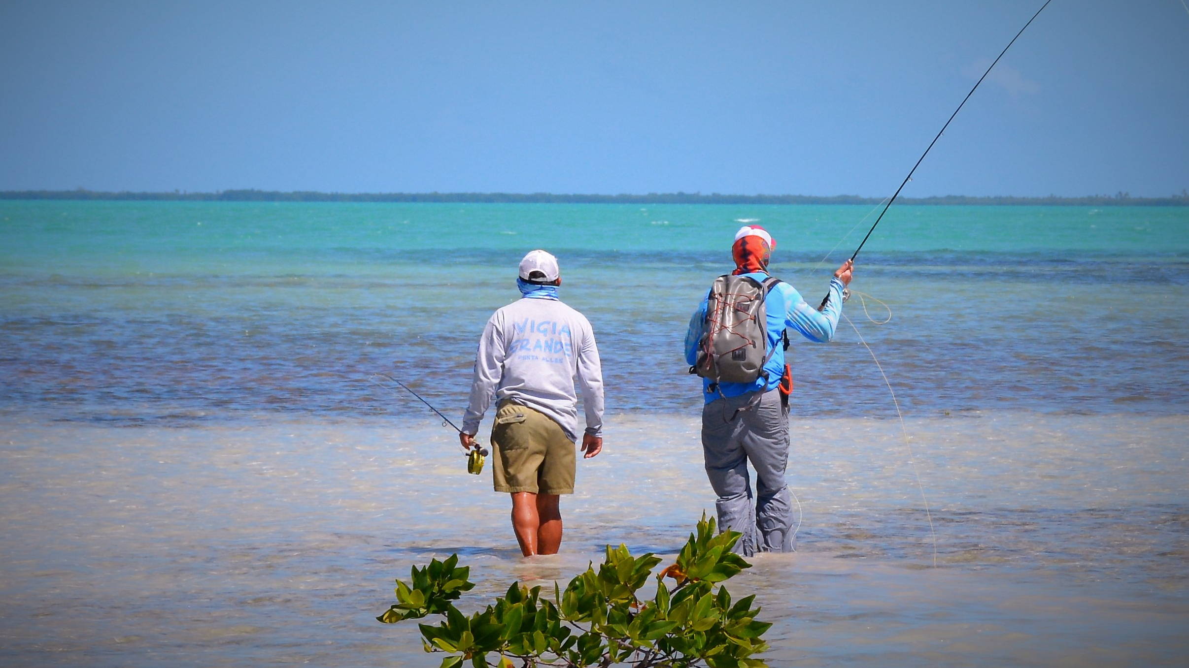 Fly Fishing in Ascension Bay