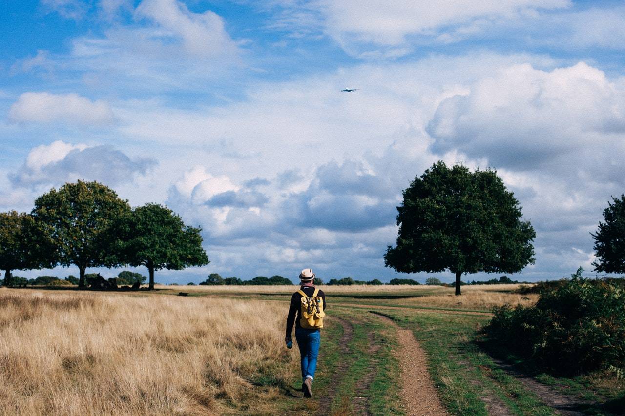 Person Walking In A Field 