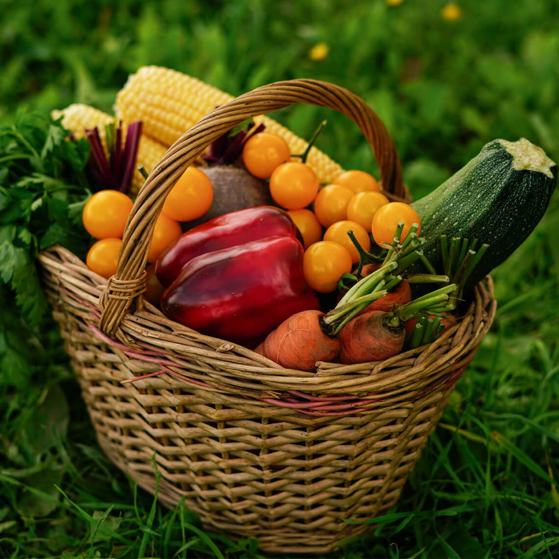 Fresh seasonal fruits and vegetables for holistic health