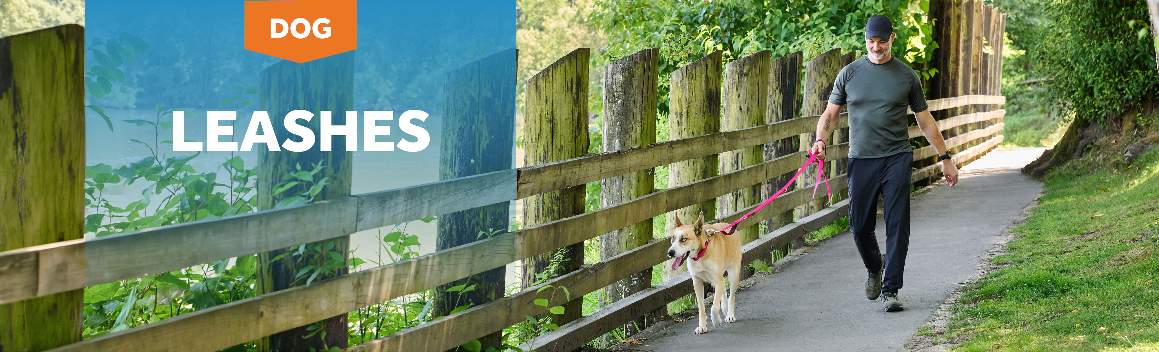 Person walking a dog on a path near a wooden fence.