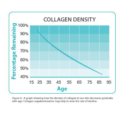 A Graph Shoeing How The Density Of Collagen In Our Skin Decreases Gradually With Age