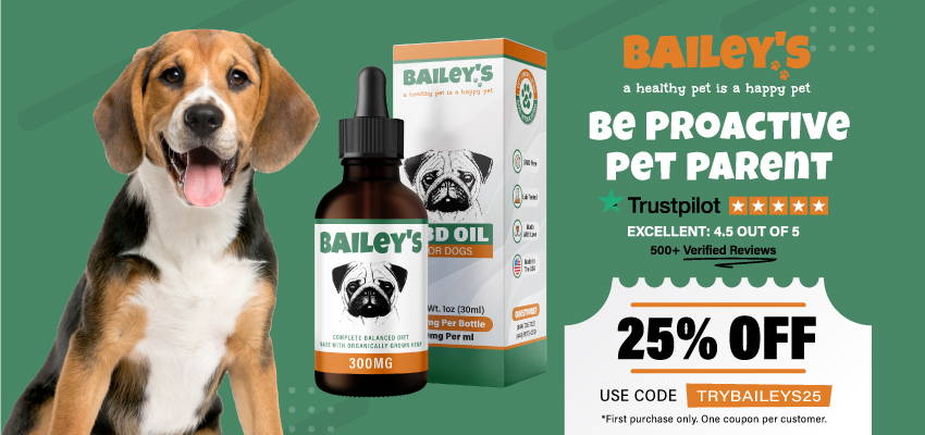 cbd oil for dogs