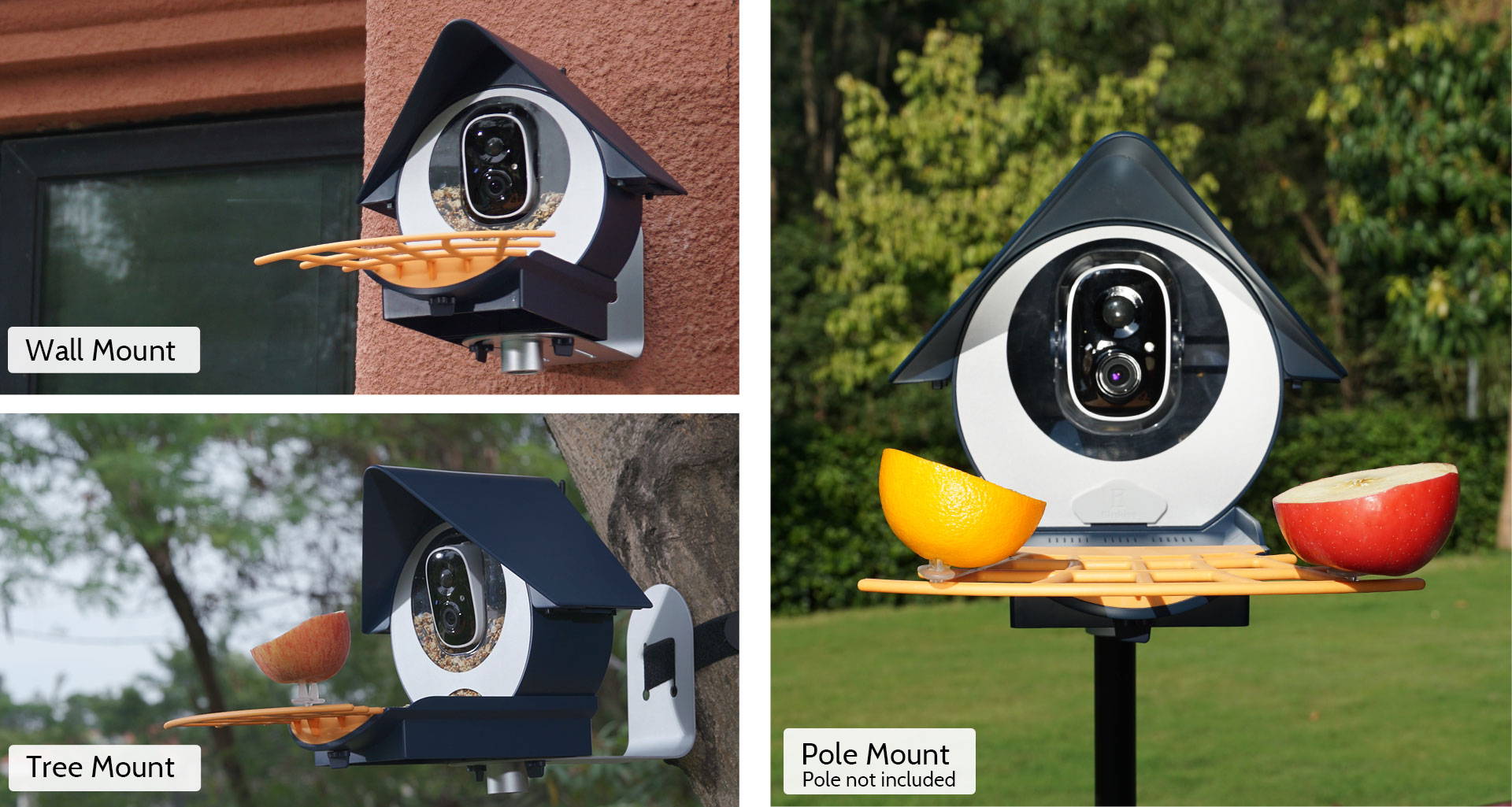 Birdkiss Smart Bird Feeders Installed on Wall, Tree, and Pole for Versatile Placement Options