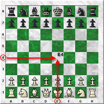 Name and role of the Chess Pieces