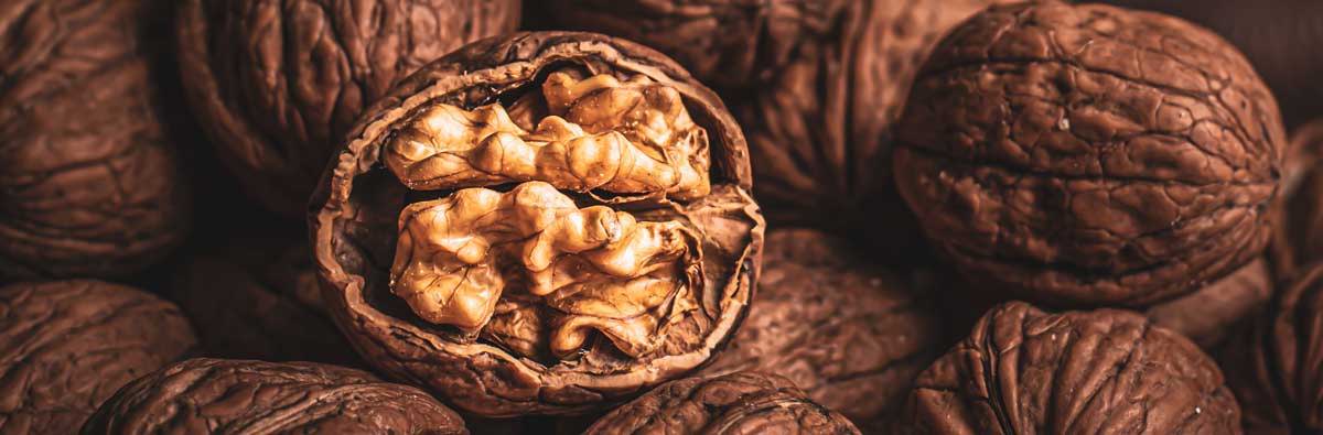An opened walnut on a pile of walnuts in the shell