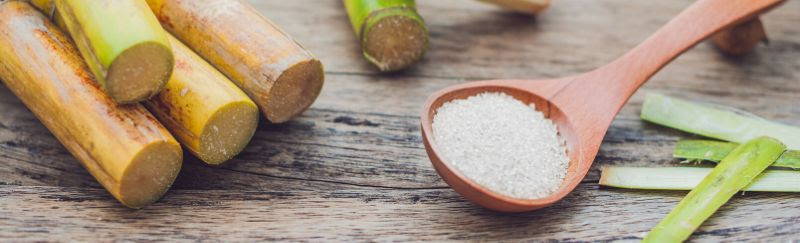 organic sugar cane with spoon filled with white sugar