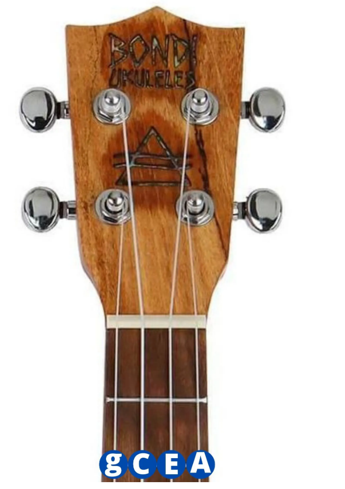 🎸 Meilleur ACCORDEUR UKULELE G C E A standard TUNER Online 