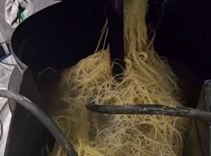 image of roots inside hydrobucket