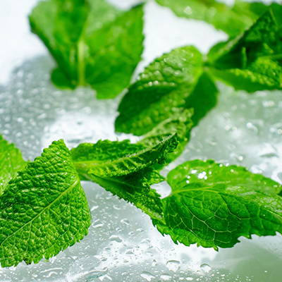 A photo showing mint leaves on a block of ice.