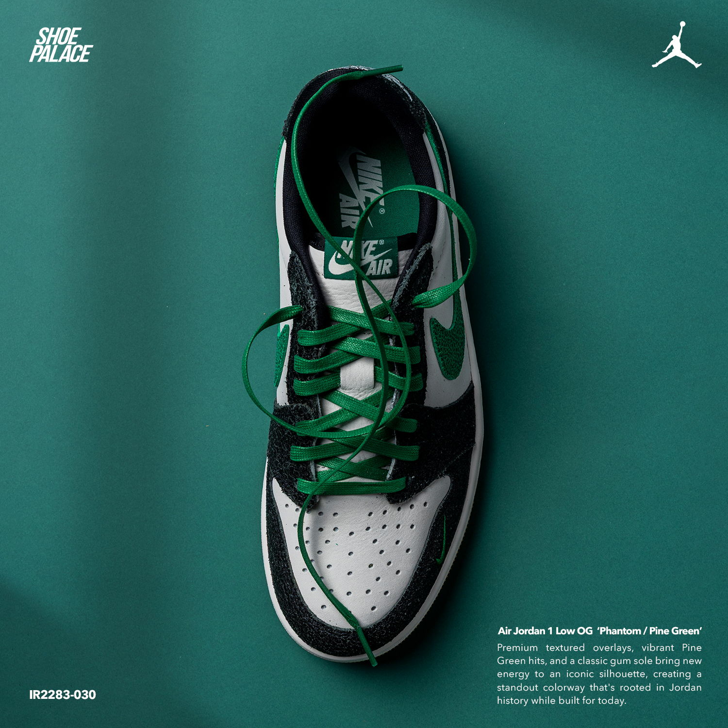 A black and white sneaker with green laces on a green background.