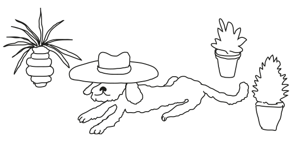 Drawing of a dog with a hat on in the garden