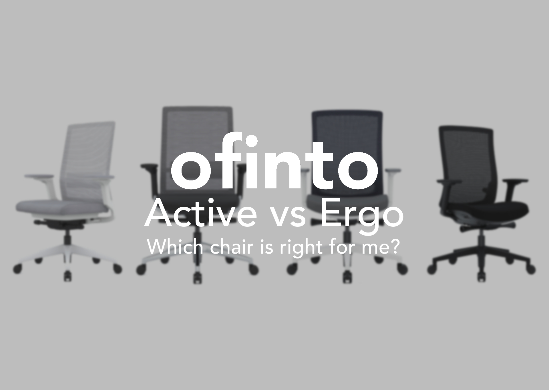 The ofinto office chair comparison: ofinto Active vs. Ergo