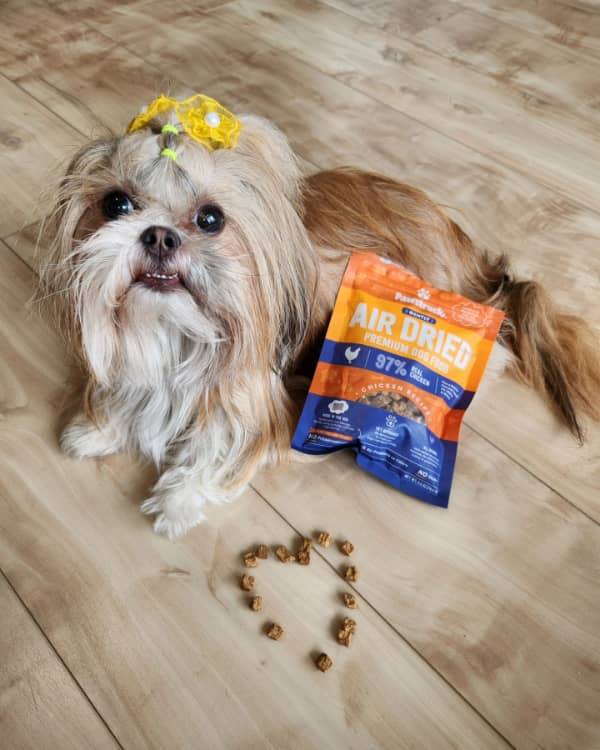 Photo of a dog with a wreath around his neck. The wreath is decorated with candy cane chews.